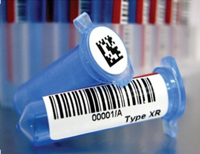 1560148198703673.jpg 20181018160445_2812.jpg